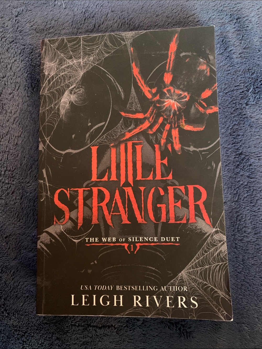 Leigh Rivers - Little Stranger